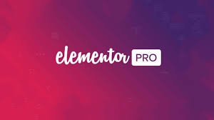 Elementor Pro